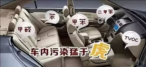 汽车暴晒后有多少毒